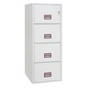 Hängeregistraturschrank Vertical Fire File FS2274 K