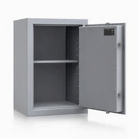 Wertschutzschrank R393 66 - Lackierung: RAL 9006 weißaluminium (optional)