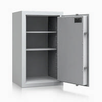 Wertschutzschrank R393 67 - Lackierung: RAL 7035 lichtgrau (Standardfarbe)