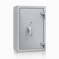 Panzerschrank R425 04 L - Lackierung: RAL 7035 lichtgrau