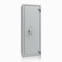 Panzerschrank R425 11 L - Lackierung: RAL 7035 lichtgrau