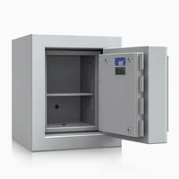 Panzerschrank R429 100 - Lackierung: RAL 7035 lichtgrau