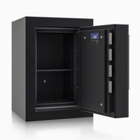 Panzerschrank R429 102 - Lackierung: RAL 9005 tiefschwarz