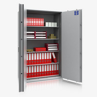 Dokumenten- Wertschutzschrank R446 10